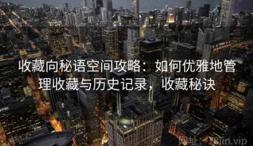 收藏向秘语空间攻略：如何优雅地管理收藏与历史记录，收藏秘诀