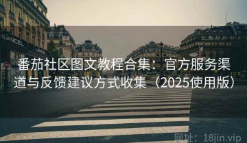 番茄社区图文教程合集：官方服务渠道与反馈建议方式收集（2025使用版）