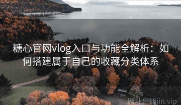 糖心官网vlog入口与功能全解析：如何搭建属于自己的收藏分类体系