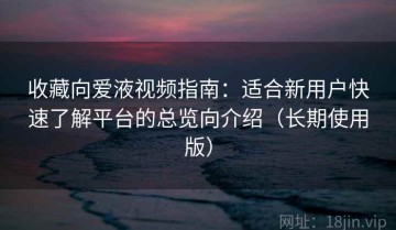 收藏向爱液视频指南：适合新用户快速了解平台的总览向介绍（长期使用版）