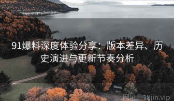 91爆料深度体验分享：版本差异、历史演进与更新节奏分析