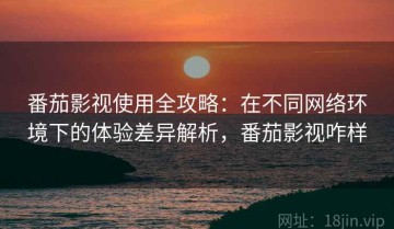 番茄影视使用全攻略：在不同网络环境下的体验差异解析，番茄影视咋样