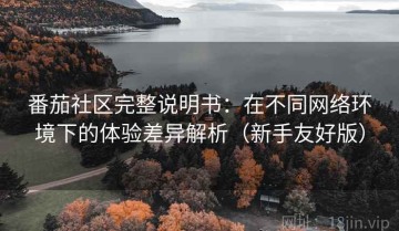 番茄社区完整说明书：在不同网络环境下的体验差异解析（新手友好版）