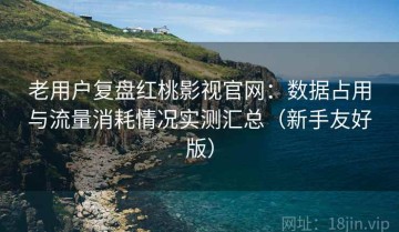 老用户复盘红桃影视官网：数据占用与流量消耗情况实测汇总（新手友好版）