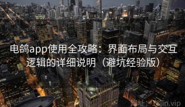 电鸽app使用全攻略：界面布局与交互逻辑的详细说明（避坑经验版）