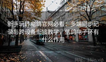 新手玩转电鸽官网必看：多端同步记录与跨设备衔接教学，信鸽电子环有什么作用