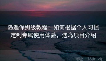 岛遇保姆级教程：如何根据个人习惯定制专属使用体验，遇岛项目介绍