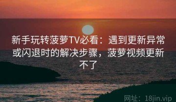 新手玩转菠萝TV必看：遇到更新异常或闪退时的解决步骤，菠萝视频更新不了