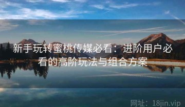 新手玩转蜜桃传媒必看：进阶用户必看的高阶玩法与组合方案