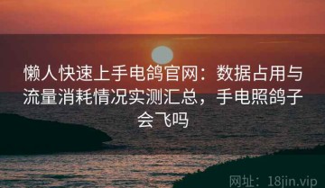 懒人快速上手电鸽官网：数据占用与流量消耗情况实测汇总，手电照鸽子会飞吗