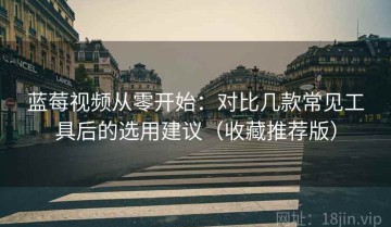蓝莓视频从零开始：对比几款常见工具后的选用建议（收藏推荐版）