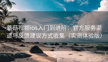 蘑菇视频ios入门到进阶：官方服务渠道与反馈建议方式收集（实测体验版）