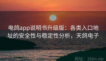 电鸽app说明书升级版：各类入口地址的安全性与稳定性分析，天鸽电子