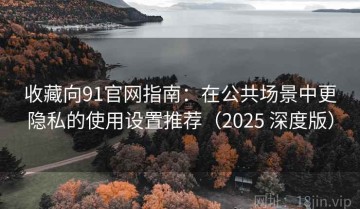 收藏向91官网指南：在公共场景中更隐私的使用设置推荐（2025 深度版）