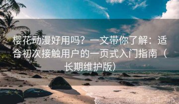 樱花动漫好用吗？一文带你了解：适合初次接触用户的一页式入门指南（长期维护版）