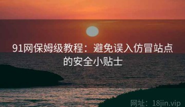 91网保姆级教程：避免误入仿冒站点的安全小贴士