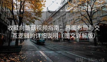 收藏向蘑菇视频指南：界面布局与交互逻辑的详细说明（图文详解版）