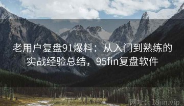 老用户复盘91爆料：从入门到熟练的实战经验总结，95fin复盘软件