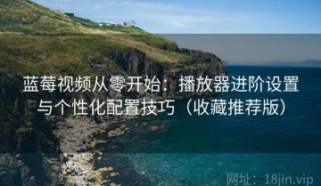 蓝莓视频从零开始：播放器进阶设置与个性化配置技巧（收藏推荐版）