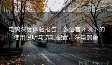 电鸽深度体验报告：多语言环境下的使用说明与选项配置，获电鸽舍