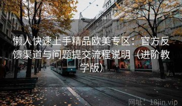 懒人快速上手精品欧美专区：官方反馈渠道与问题提交流程说明（进阶教学版）