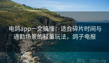 电鸽app一文搞懂：适合碎片时间与通勤场景的轻量玩法，鸽子电报