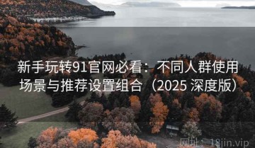 新手玩转91官网必看：不同人群使用场景与推荐设置组合（2025 深度版）