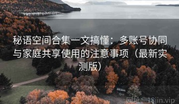 秘语空间合集一文搞懂：多账号协同与家庭共享使用的注意事项（最新实测版）