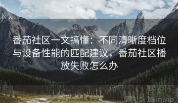 番茄社区一文搞懂：不同清晰度档位与设备性能的匹配建议，番茄社区播放失败怎么办