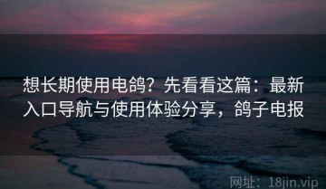 想长期使用电鸽？先看看这篇：最新入口导航与使用体验分享，鸽子电报