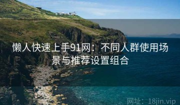 懒人快速上手91网：不同人群使用场景与推荐设置组合