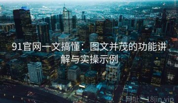 91官网一文搞懂：图文并茂的功能讲解与实操示例