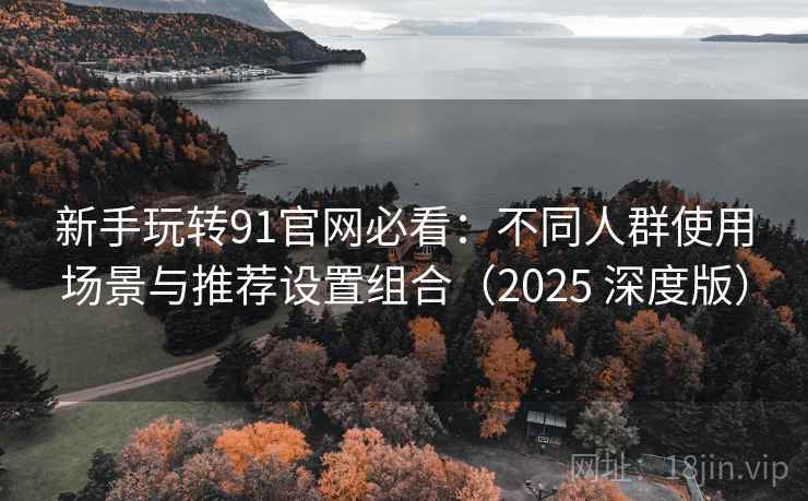 新手玩转91官网必看：不同人群使用场景与推荐设置组合（2025 深度版）