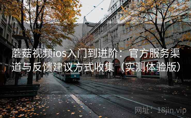 蘑菇视频ios入门到进阶：官方服务渠道与反馈建议方式收集（实测体验版）