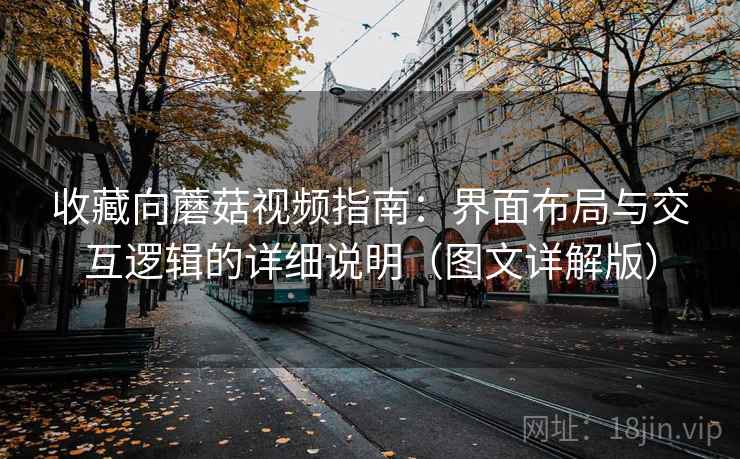 收藏向蘑菇视频指南:界面布局与交互逻辑的详细说明(图文详解版) 收藏向蘑菇视频指南:界面布局与交互逻辑的详细说明(图文详解版)
