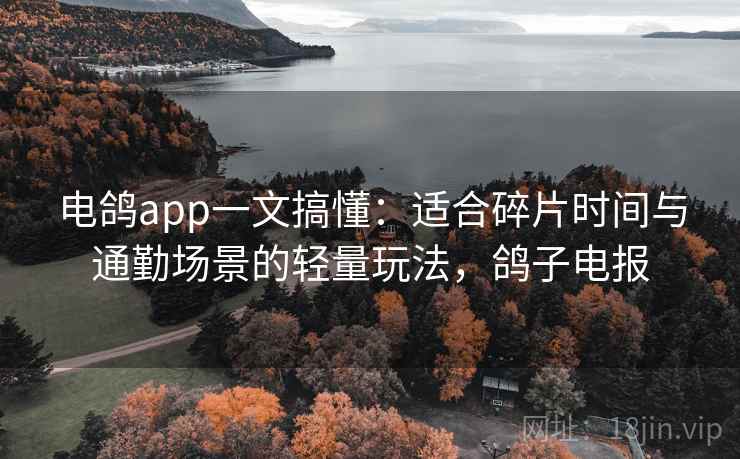 电鸽app一文搞懂：适合碎片时间与通勤场景的轻量玩法，鸽子电报