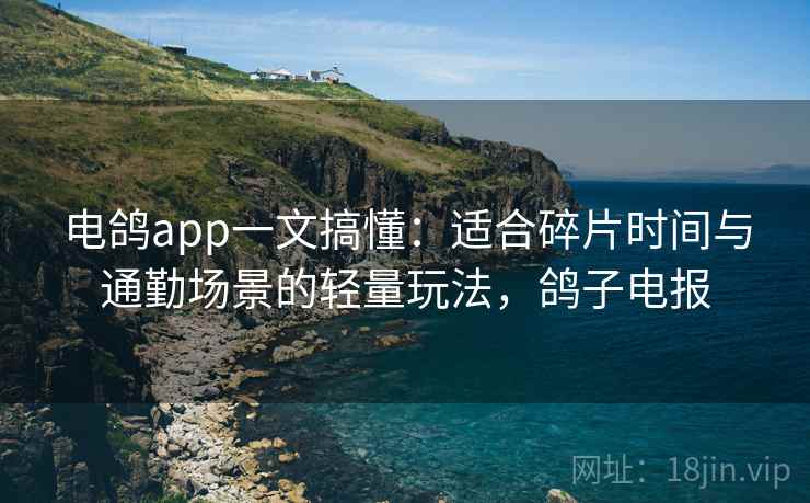 电鸽app一文搞懂：适合碎片时间与通勤场景的轻量玩法，鸽子电报