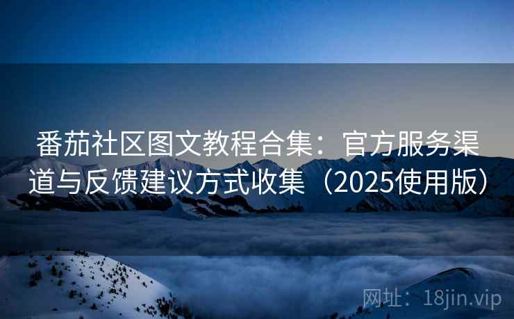 番茄社区图文教程合集：官方服务渠道与反馈建议方式收集（2025使用版）