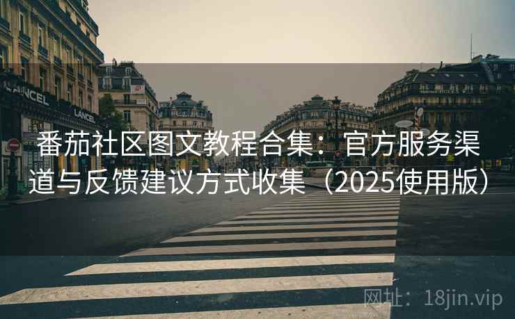 番茄社区图文教程合集：官方服务渠道与反馈建议方式收集（2025使用版）