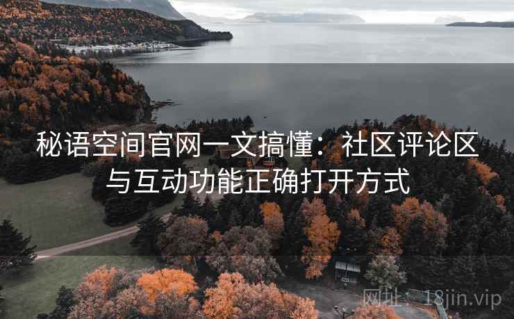 秘语空间官网一文搞懂：社区评论区与互动功能正确打开方式