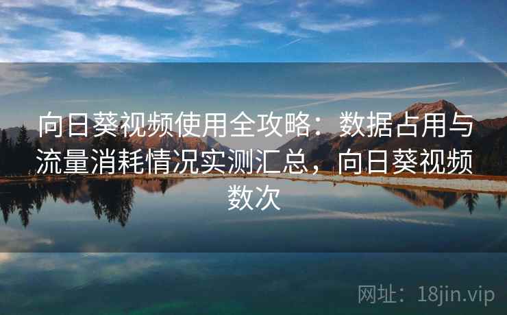 向日葵视频使用全攻略：数据占用与流量消耗情况实测汇总，向日葵视频数次