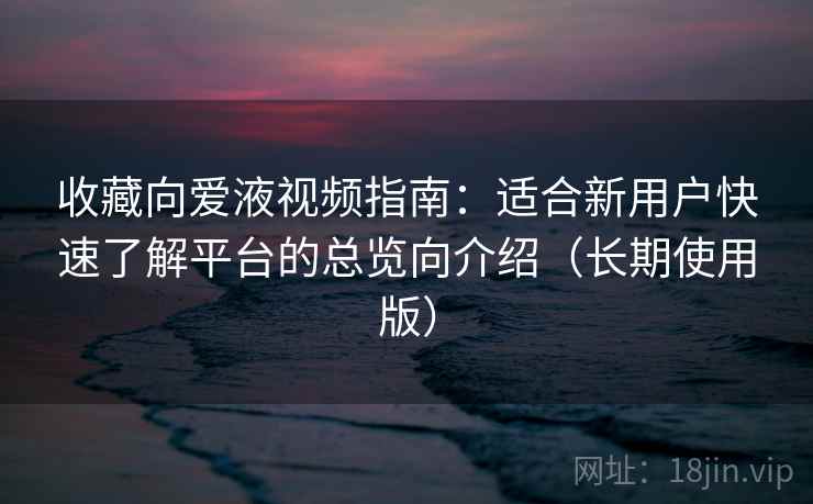收藏向爱液视频指南：适合新用户快速了解平台的总览向介绍（长期使用版）