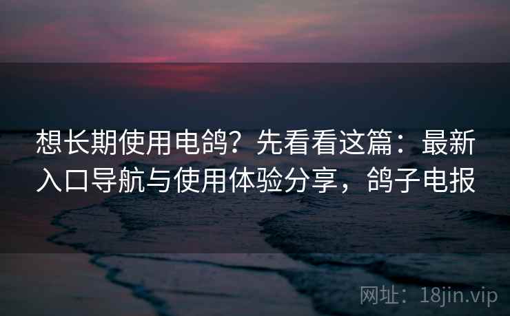 想长期使用电鸽？先看看这篇：最新入口导航与使用体验分享，鸽子电报