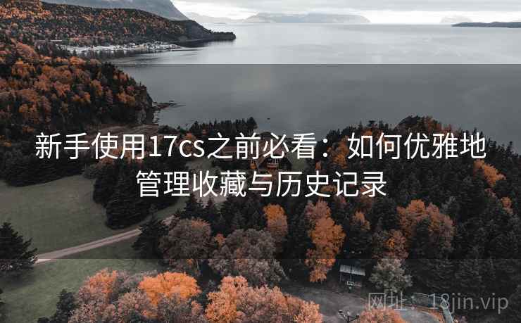 新手使用17cs之前必看：如何优雅地管理收藏与历史记录