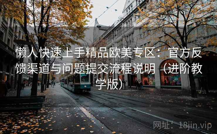懒人快速上手精品欧美专区：官方反馈渠道与问题提交流程说明（进阶教学版）