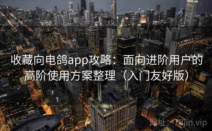 收藏向电鸽app攻略：面向进阶用户的高阶使用方案整理（入门友好版）