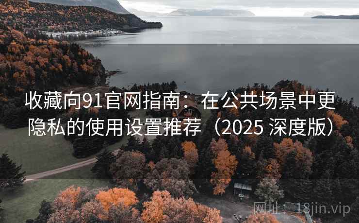 收藏向91官网指南：在公共场景中更隐私的使用设置推荐（2025 深度版）