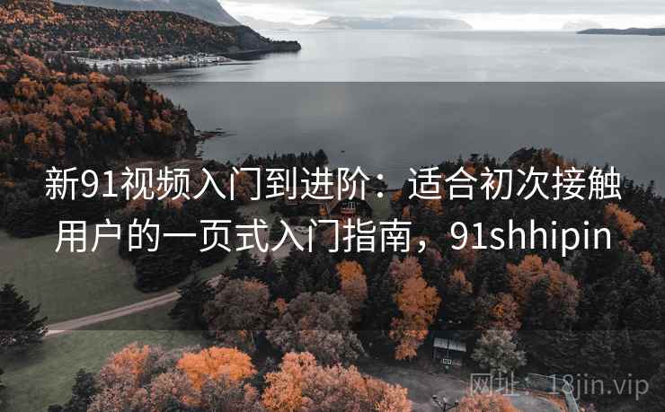新91视频入门到进阶：适合初次接触用户的一页式入门指南，91shhipin