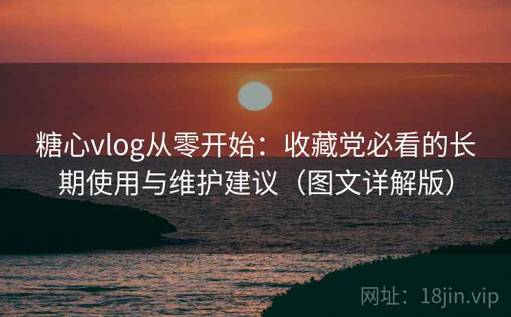 糖心vlog从零开始：收藏党必看的长期使用与维护建议（图文详解版）