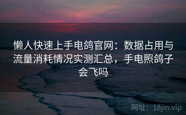 懒人快速上手电鸽官网：数据占用与流量消耗情况实测汇总，手电照鸽子会飞吗